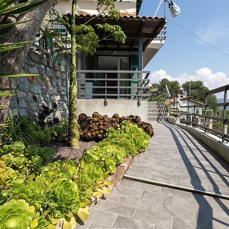 Strada Degli Olandesi - Panoramic Villa By Halldis Camporosso  Ngoại thất bức ảnh